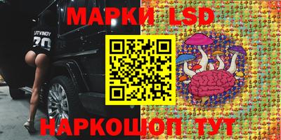 гидра Гатчина