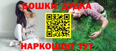гидра Гатчина