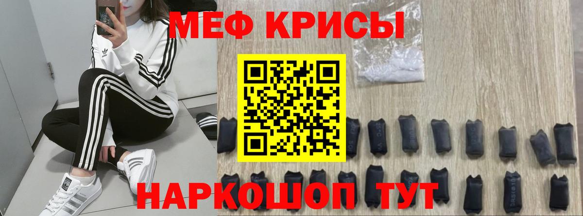 МЕФ  Балтийск