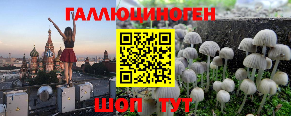 Псилоцибиновые грибы GOLDEN TEACHER Балтийск