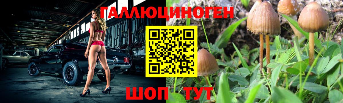 Галлюциногенные грибы Magic Shrooms  Вход с VPN  Галлюциногенные грибы мухоморы  Балтийск 