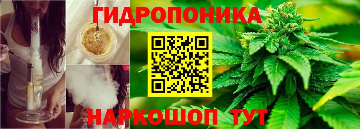 Балтийск  Бошки марихуана семена  Марихуана сатива  Каннабис гибрид  Вход с VPN 